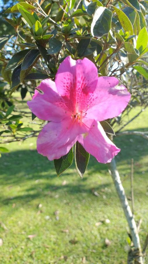 Pousada Do Sobrado Bage Exterior photo